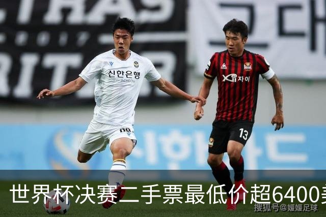 世界杯决赛二手票最低价超6400美元，VIP席位近6万
