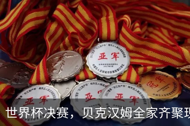 世界杯决赛，贝克汉姆全家齐聚现场，唯独布鲁克林在家看