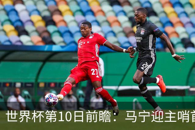 世界杯第10日前瞻：马宁迎主哨首秀 日本队踢第1000场里程碑