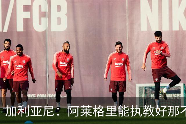 加利亚尼：阿莱格里能执教好那不勒斯，他会根据队内球员制定战术