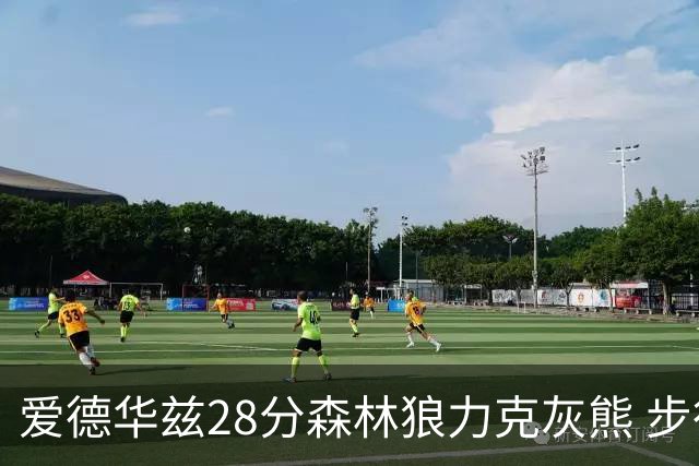 爱德华兹28分森林狼力克灰熊 步行者险胜国王